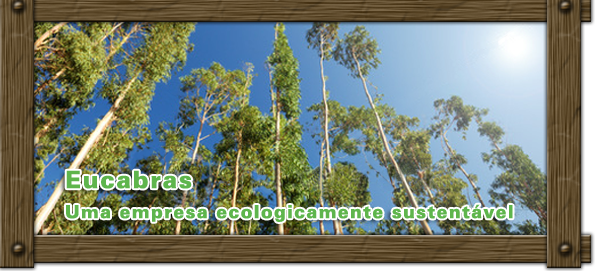 assistir esporte sangrento - images/stories/banner/banner_01.png