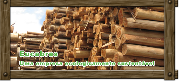 assistir esporte sangrento - images/stories/banner/banner_02.png