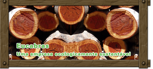 assistir esporte sangrento - images/stories/banner/banner_03.png